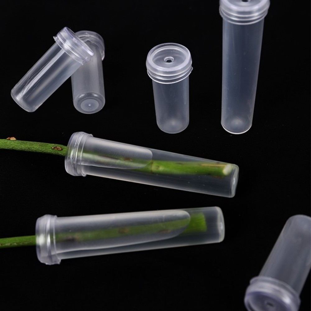 Long Lasting Floral Water Vial - Longs Florist Supply ulasan dan harga